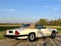 Jaguar XJS XJSC V12 Automatik Convertible - thumbnail 4