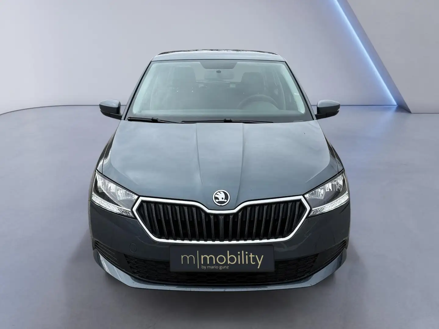 Skoda Fabia 1.0 Sitzheizung | AHK 44 kW (60 PS), Schalt. 5... Grau - 2