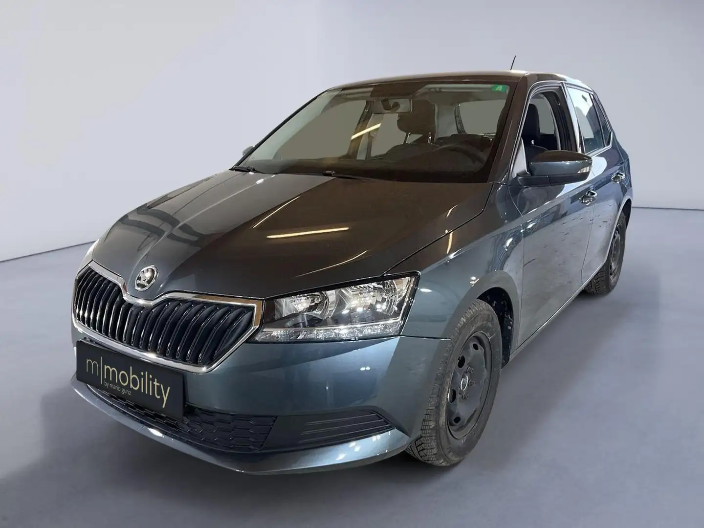 Skoda Fabia 1.0 Sitzheizung | AHK 44 kW (60 PS), Schalt. 5... Grau - 1