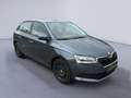 Skoda Fabia 1.0 Sitzheizung |  AHK 44 kW (60 PS), Schalt. 5... Grau - thumbnail 10