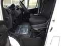 Toyota Proace Max Work 35 L2H2 2.2 D verblecht 4Türer RFK Bianco - thumbnail 9