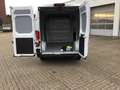 Toyota Proace Max Work 35 L2H2 2.2 D verblecht 4Türer RFK Bianco - thumbnail 7
