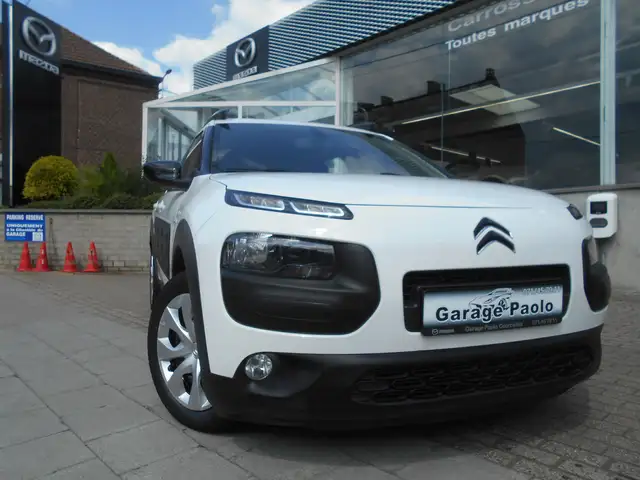 Citroen C4 Cactus 1.6 BlueHDi Business (Fleet)