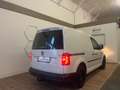 Volkswagen Caddy Kasten BlueMotion Weiß - thumbnail 20