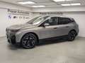 BMW iX xDrive40 Pano AHK DA Prof PA Prof 360° H/K 22'' Grau - thumbnail 2