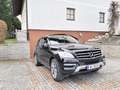 Mercedes-Benz ML 250 ML 250 BlueTEC 4MATIC Aut. DPF Schwarz - thumbnail 8