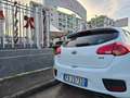 Kia Ceed / cee'd Kia Ceed cee'orte Cool Blanc - thumbnail 6