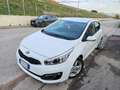 Kia Ceed / cee'd Kia Ceed cee'orte Cool Blanc - thumbnail 3