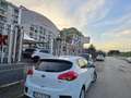 Kia Ceed / cee'd Kia Ceed cee'orte Cool Blanc - thumbnail 5