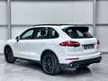 Porsche Cayenne Cayenne 3.0i V6 PHEV S Tiptronic S Blanc - thumbnail 8
