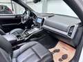 Porsche Cayenne Cayenne 3.0i V6 PHEV S Tiptronic S Blanc - thumbnail 14