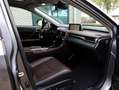 Lexus RX 450h 4WD President Line | Mark Levinson | Panoramadak | Grey - thumbnail 12