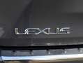 Lexus RX 450h 4WD President Line | Mark Levinson | Panoramadak | Grijs - thumbnail 46