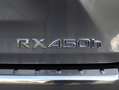 Lexus RX 450h 4WD President Line | Mark Levinson | Panoramadak | Grijs - thumbnail 47