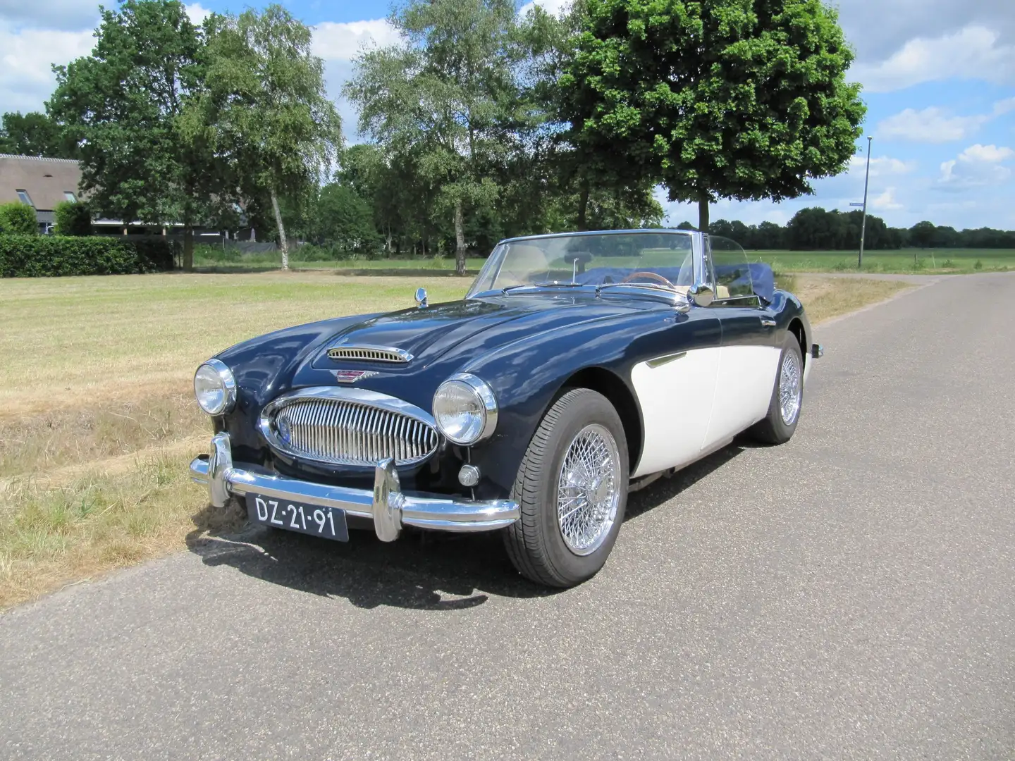 Austin-Healey 3000 3000 MK3 BJ8 Azul - 1