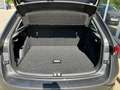 Skoda Scala Selection TSI DSG Grau - thumbnail 8