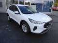 Ford Kuga 1.5 EcoBoost Kamera,Lenkradheizung,Sitzheiz. Weiß - thumbnail 5