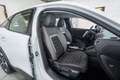 Citroen C4 1.2 PureTech Plus S&S 130 Aut. Blanco - thumbnail 15