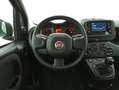 Fiat Panda Hybrid 1.0 Mild Hybrid 70CV Schwarz - thumbnail 11