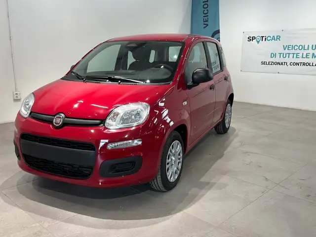 2025 Fiat Panda in Red for sale