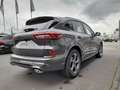 Ford Kuga ST-Line,LED,Sitzh,Kamera,Spurhalte,PDC, Gris - thumbnail 7