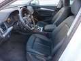 Audi Q5 Edition 35 TDI 120 kW (163 CV) S tronic Blanco - thumbnail 6