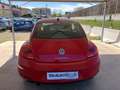 Volkswagen Maggiolino 1.2 TSI NEOPATENTATI 1 PROPRIETARIO KM CERTIFICATI Rojo - thumbnail 4