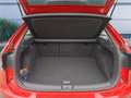 Volkswagen Taigo Life 1.0 TSI DSG, ACC, Rear View Rot - thumbnail 8