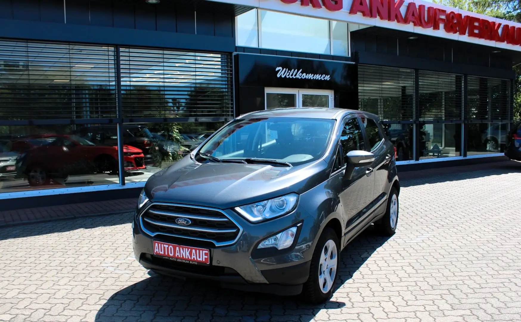 Ford EcoSport Trend Klima PDC ESP Grijs - 2