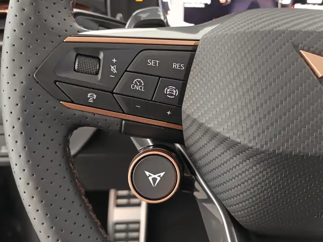 Cupra Terramar view 15