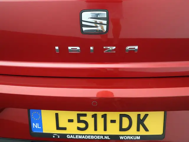 Seat Ibiza view 22