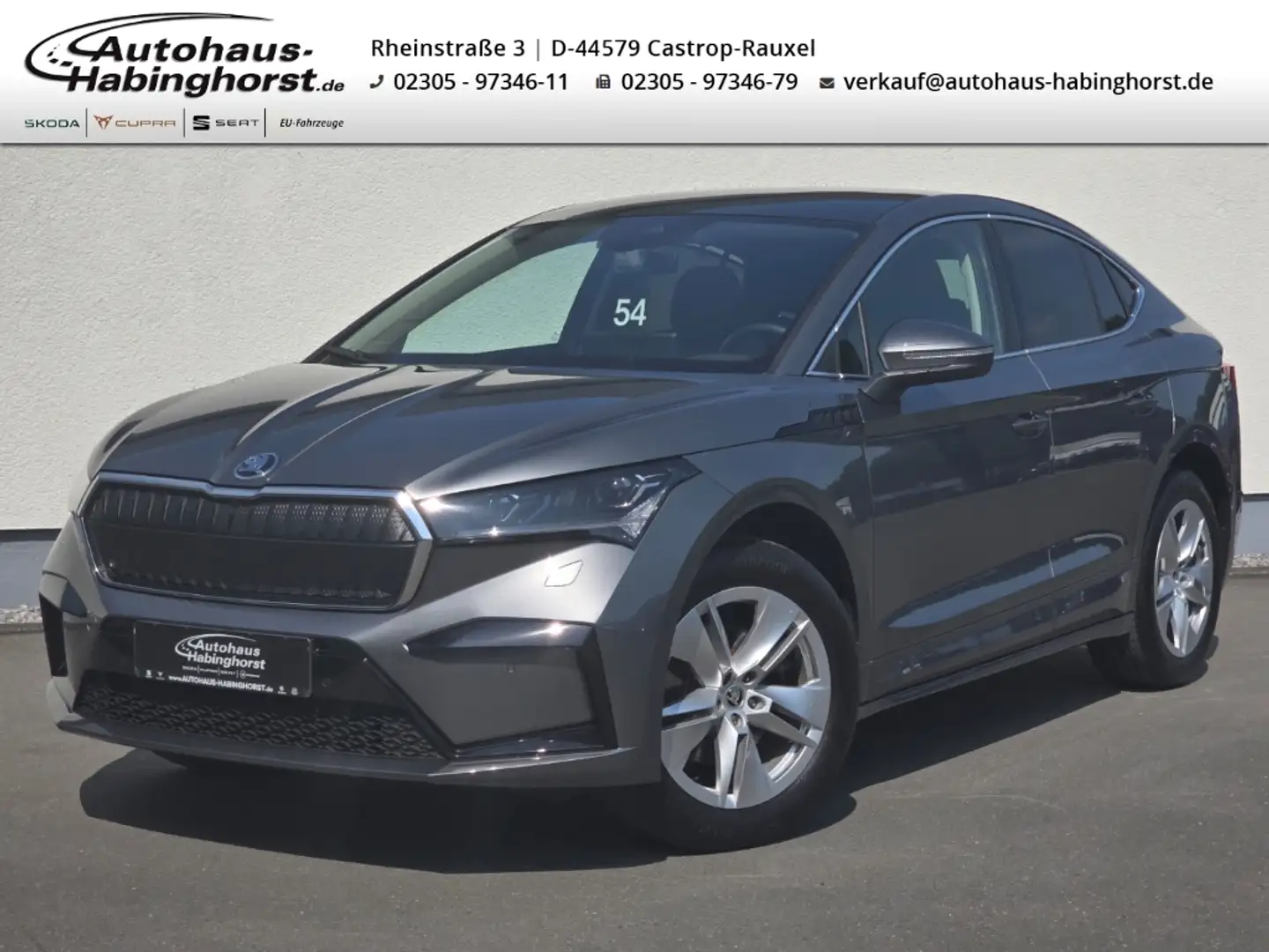 Skoda Enyaq Coupe 60 Navi PDC Kessy e.Hk Matrix 19Alu Grau - 1
