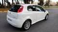 Fiat Punto 1.2 Active Weiß - thumbnail 8