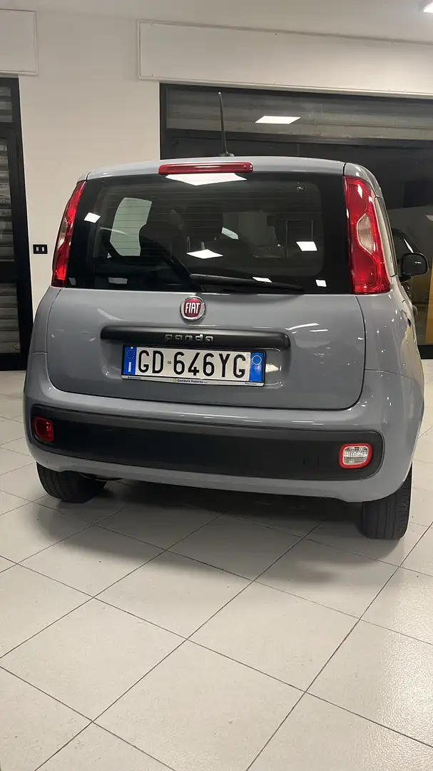 Fiat Panda Panda III 2016 1.2 Easy s Grigio - 2