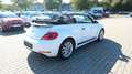 Volkswagen Beetle 1.2 TSI Cabriolet BMT*Navi*Tempo.* Wit - thumbnail 6