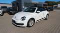 Volkswagen Beetle 1.2 TSI Cabriolet BMT*Navi*Tempo.* Wit - thumbnail 2