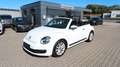 Volkswagen Beetle 1.2 TSI Cabriolet BMT*Navi*Tempo.* Wit - thumbnail 1