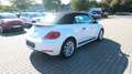 Volkswagen Beetle 1.2 TSI Cabriolet BMT*Navi*Tempo.* Wit - thumbnail 7