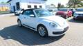 Volkswagen Beetle 1.2 TSI Cabriolet BMT*Navi*Tempo.* Wit - thumbnail 3