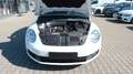 Volkswagen Beetle 1.2 TSI Cabriolet BMT*Navi*Tempo.* Wit - thumbnail 5