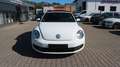 Volkswagen Beetle 1.2 TSI Cabriolet BMT*Navi*Tempo.* Wit - thumbnail 4
