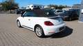 Volkswagen Beetle 1.2 TSI Cabriolet BMT*Navi*Tempo.* Wit - thumbnail 8