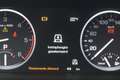 Land Rover Range Rover 3.6 TDV8 Vogue | APK 03-2025 | Goed uitgevoerd | B Grijs - thumbnail 42