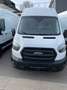 Ford Transit L4 H3 BOITE AUTO NEUVE 33500+TVA Wit - thumbnail 1