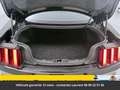 Ford Mustang Shelby GT350 526 Hors homologation 4500e Schwarz - thumbnail 17