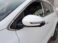 Kia Sportage Sportage 1.6 crdi mhev GT Line Plus 2wd 136cv dct Bianco - thumbnail 13