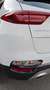 Kia Sportage Sportage 1.6 crdi mhev GT Line Plus 2wd 136cv dct Blanco - thumbnail 24