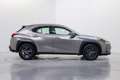 Lexus UX 250h Business Navigation 4WD Gris - thumbnail 7