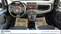 Fiat New Panda 1.0 FireFly Hybrid Noir - thumbnail 10