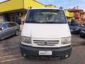 Renault Mascott 130.35 2.8 dCi PL Cabinato N°BL437 Bianco - thumbnail 4